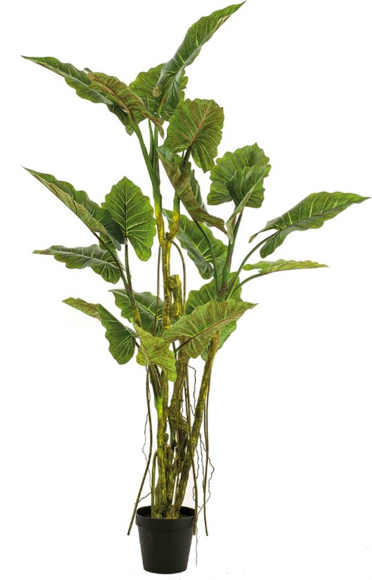 Kunstplant Colocasia boom met lianen 195 cm