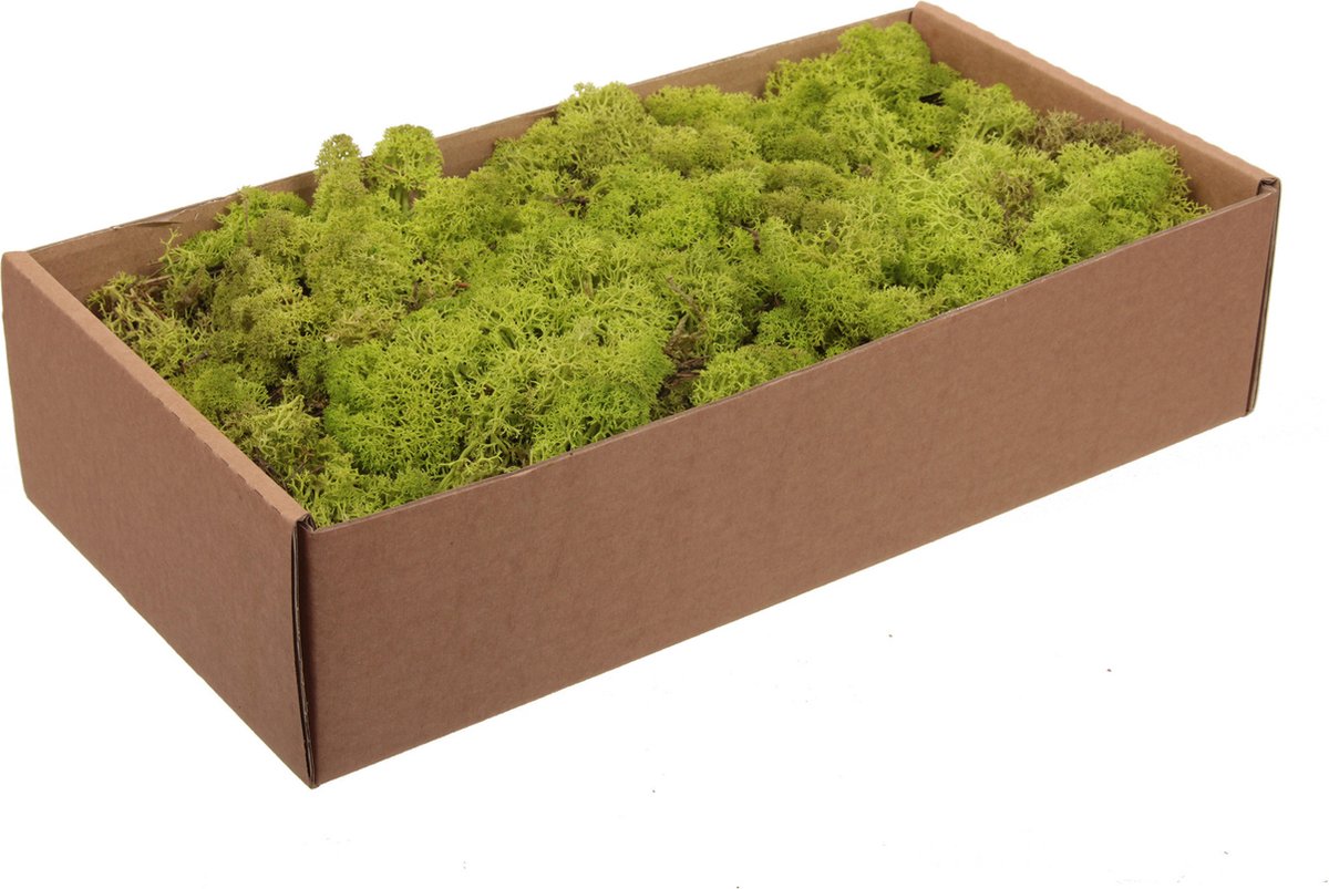 Othmar Decorations Decoratie/hobby Finlands mos - lichtgroen - 500 gram