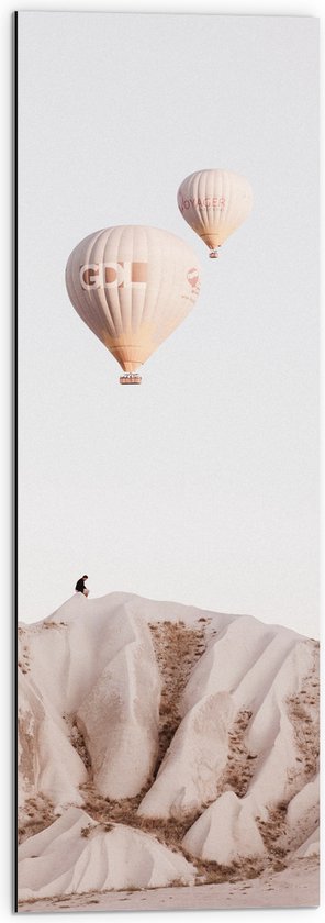 WallClassics - Dibond - Beige en Bruine Luchtballonnen boven Rotslandschap - 30x90 cm Foto op Aluminium (Wanddecoratie van metaal)