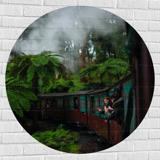 WallClassics - Muursticker Cirkel - Stoom Trein door de Jungle - 100x100 cm Foto op Muursticker