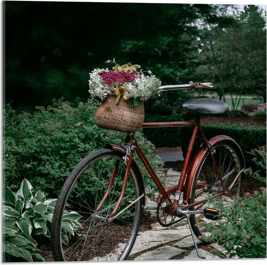 WallClassics - Verre Acrylique - Bouquet de Fleurs dans un Panier de Vélo sur un Sentier en Pierre - Photo 50x50 cm sur Verre Acrylique (Avec Système de Suspension)