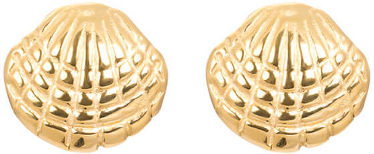 iXXXi Oorbellen Shell Goud