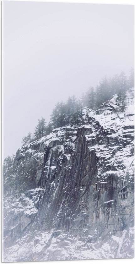 WallClassics - Acrylglas - Besneeuwde Bergen in de Mist - 50x100 cm Foto op Acrylglas (Wanddecoratie op Acrylaat)