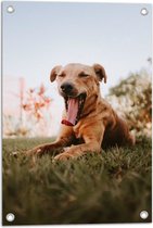 WallClassics - Tuinposter – Gapende Bruine Hond - 40x60 cm Foto op Tuinposter (wanddecoratie voor buiten en binnen)