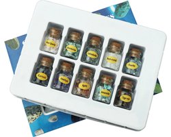 Kristallen en Edelstenen in Potjes - Mix van 10 Soorten - Geschenkdoos