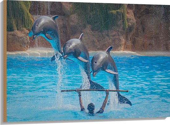 WallClassics - Hout - Springende Dolfijnen - 100x75 cm - 9 mm dik - Foto op Hout (Met Ophangsysteem)