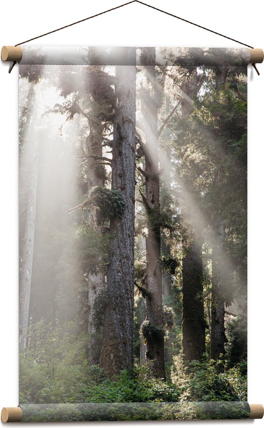 WallClassics - Affiche Textile - Rayons de Soleil dans une Forêt - 40x60 cm Photo sur Textile