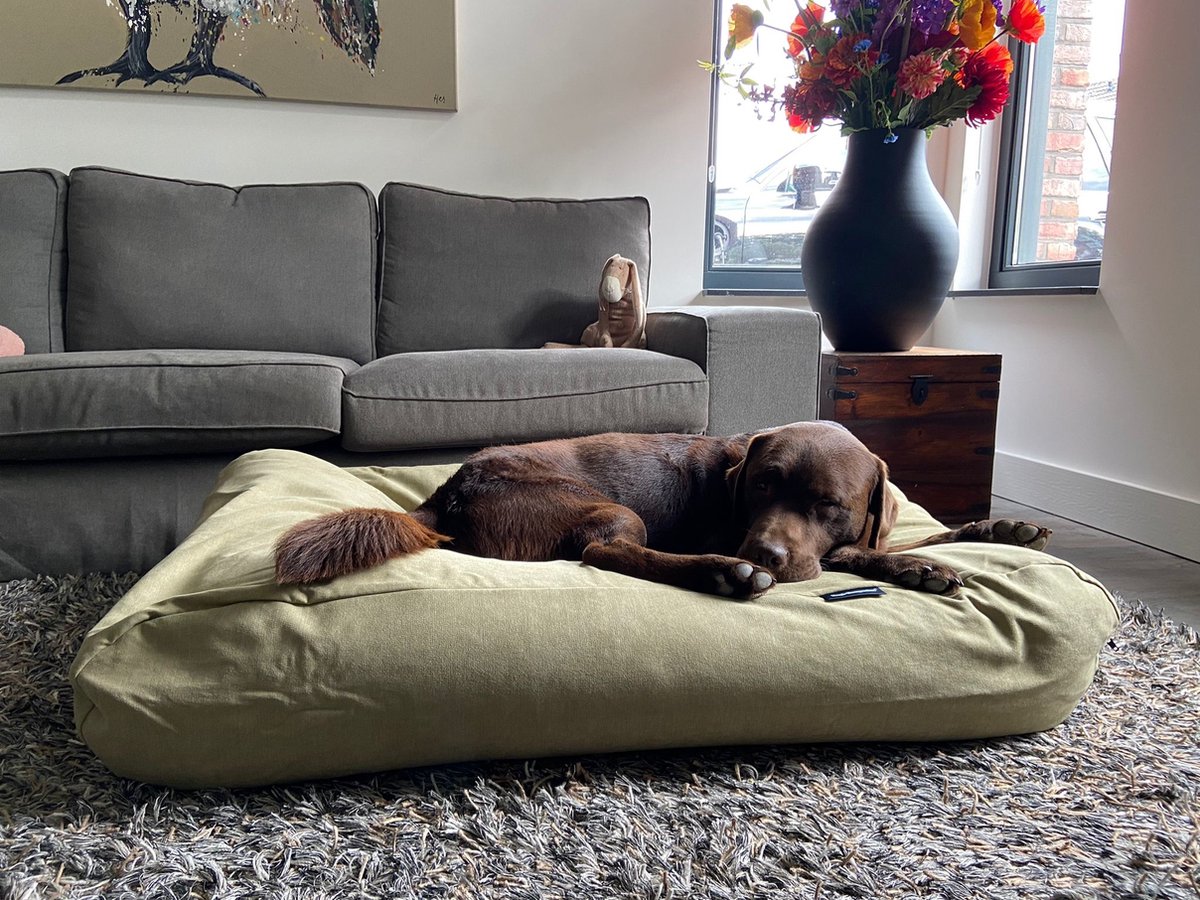 Dog's Companion Hondenkussen / Hondenbed - XS - 55 x 45 cm - Moss Velvet