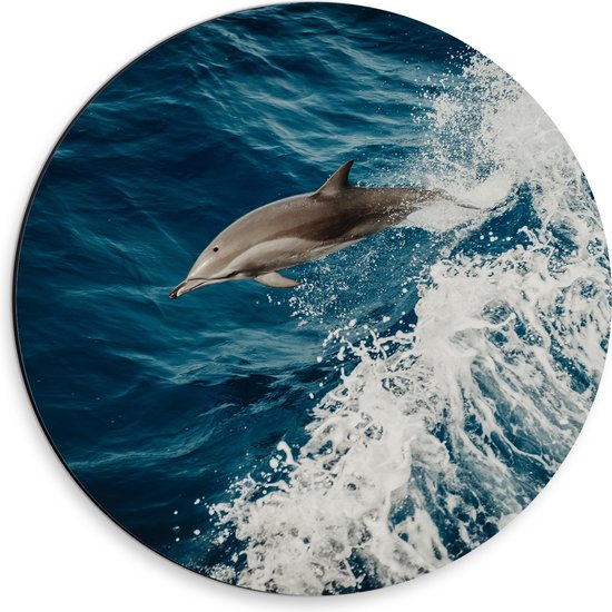 WallClassics - Dibond Muurcirkel - Springende Dolfijn in de Golvende Zee - 30x30 cm Foto op Aluminium Muurcirkel (met ophangsysteem)