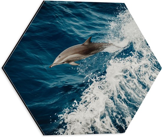 WallClassics - Dibond Hexagon - Springende Dolfijn in de Golvende Zee - 40x34.8 cm Foto op Hexagon (Met Ophangsysteem)