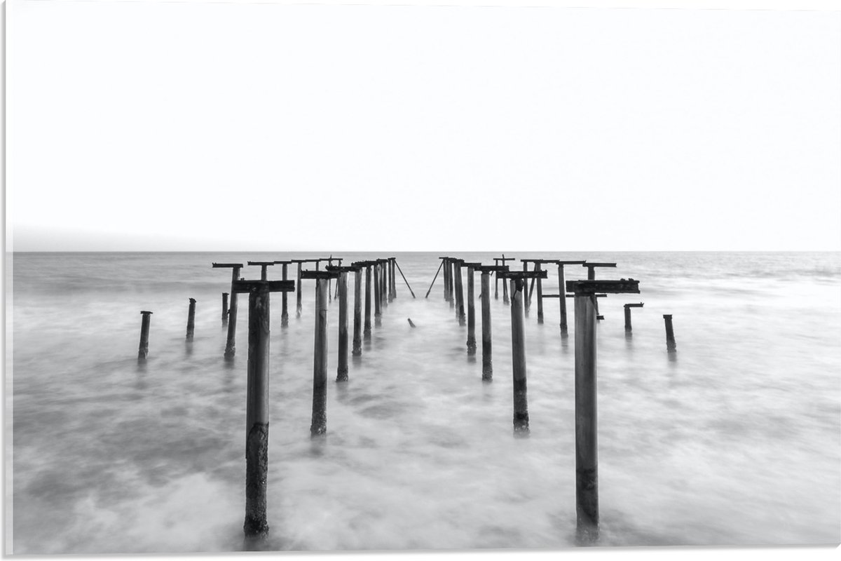 Acrylglas - Rij Palen in de Zee - 60x40 cm Foto op Acrylglas (Wanddecoratie op Acrylaat)