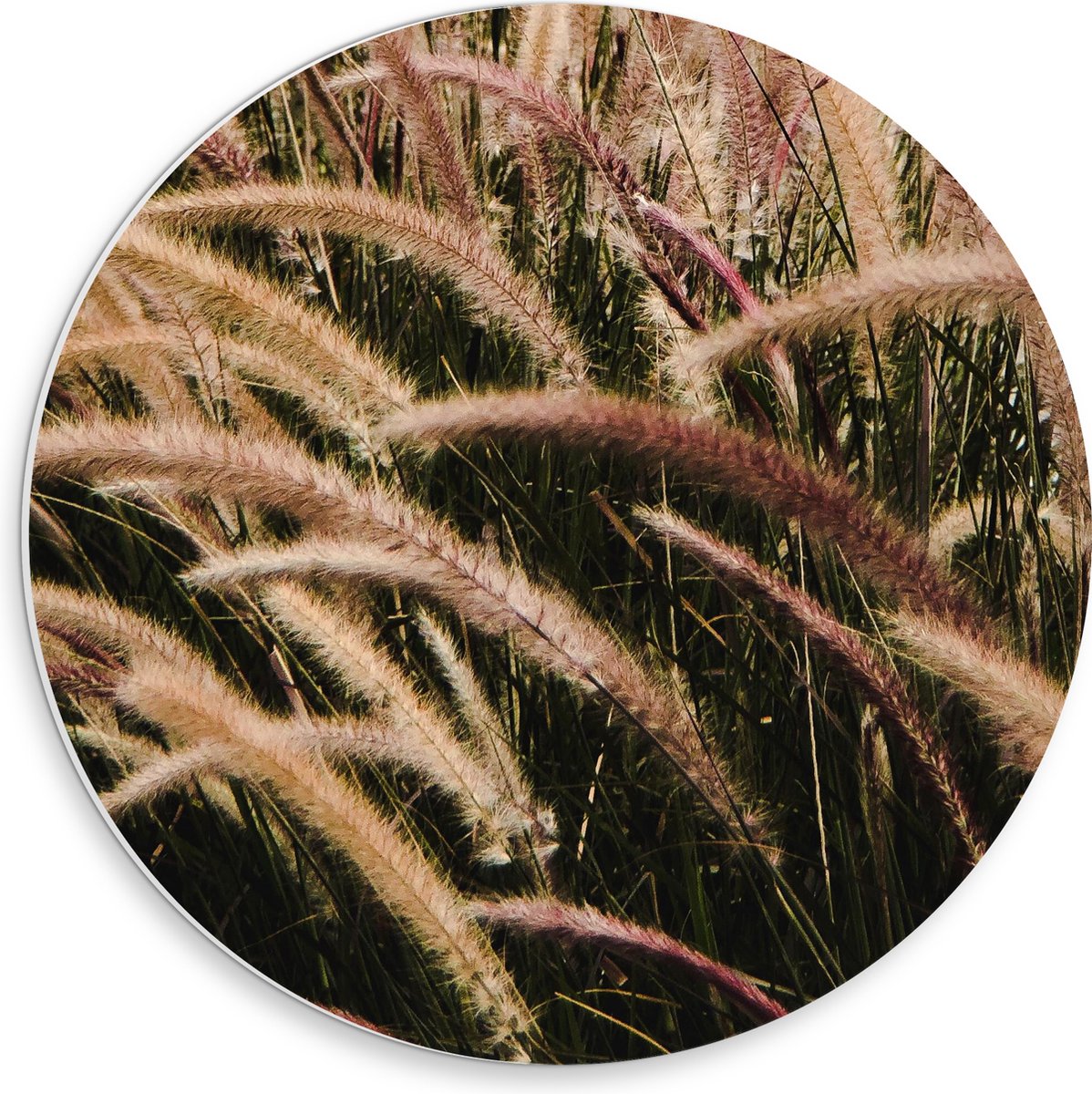 PVC Schuimplaat Muurcirkel - Sierlijke Fontein Gras - 30x30 cm Foto op Muurcirkel (met oph