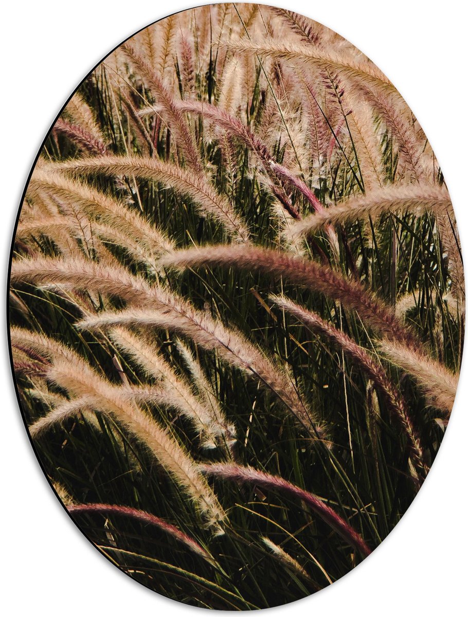 Dibond Ovaal - Sierlijke Fontein Gras - 42x56 cm Foto op Ovaal (Met Ophangsysteem)
