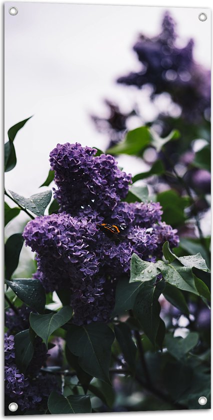 WallClassics - Tuinposter – Vlinder op Paarse Bloemen - 50x100 cm Foto op Tuinposter (wanddecoratie voor buiten en binnen)