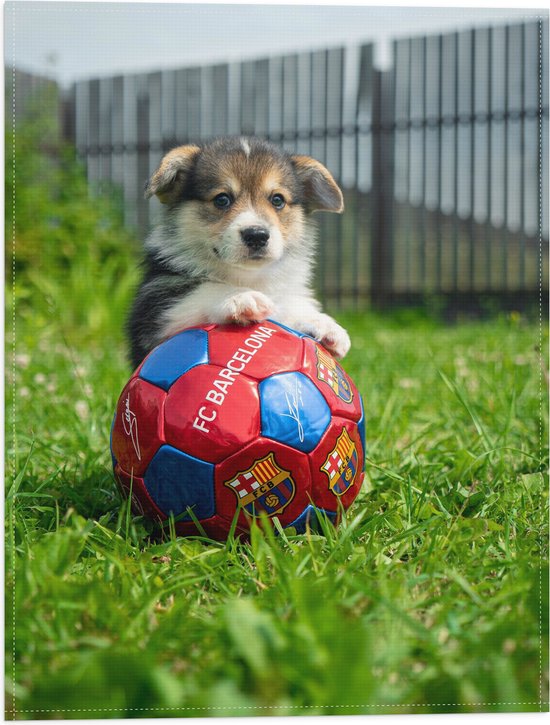 WallClassics - Vlag - Hondje Speelt met een Voetbal - 30x40 cm Foto op Polyester Vlag