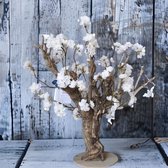 Seta Fiori - Sakura - kunstbloesem - plant / boom - wit - 75cm hoog - Rituals  - op echt hout -