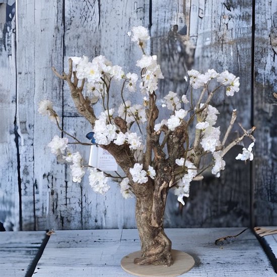 Seta Fiori - Rituals fleur artificielle - plant / arbre - blanc - 75cm de  haut | bol