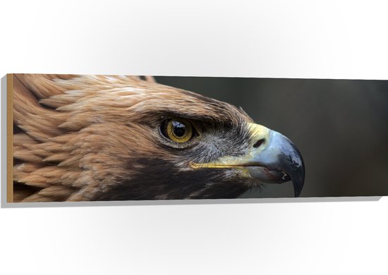 WallClassics - Bois - Gros plan sur pierre - Vogel - 120 x 40 cm - Épaisseur 9 mm - Photo sur bois (avec système de suspension)