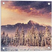 Tuinposter – Magisch Winter Landschap - 50x50 cm Foto op Tuinposter (wanddecoratie voor buiten en binnen)