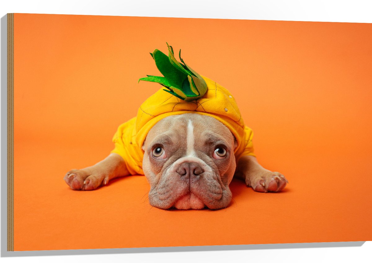 Hout - Hond met Ananas Pak bij een Oranje Achtergrond - 105x70 cm - 9 mm dik - Foto op Hout (Met Ophangsysteem)