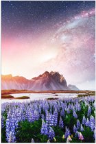 Poster Glanzend – Lavendelveld in Landschap met Bergen onder Sterrenhemel - 40x60 cm Foto op Posterpapier met Glanzende Afwerking