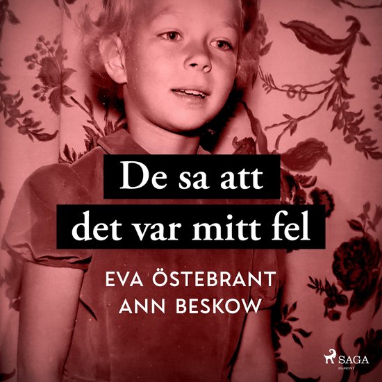 De sa att det var mitt fel - cover