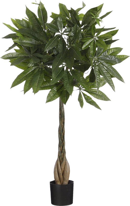 Mica Decorations Pachira Kunstplant - H80 x Ø60 cm - Groen