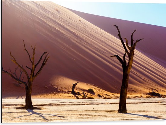 Dibond - Kale Bomen in Woestijn Landschap - 80x60 cm Foto op Aluminium (Met Ophangsysteem)