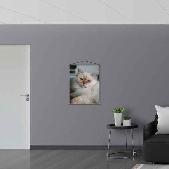 Textielposter - Liggende Bruine Kat met Blauwe ogen - Himalaya Kat - 60x80 cm Foto op Textiel