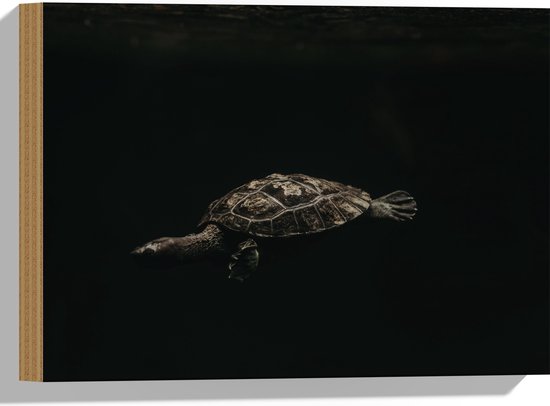 WallClassics - Hout - Schildpad zwemmend in Zwart Water - 40x30 cm - 9 mm dik - Foto op Hout (Met Ophangsysteem)