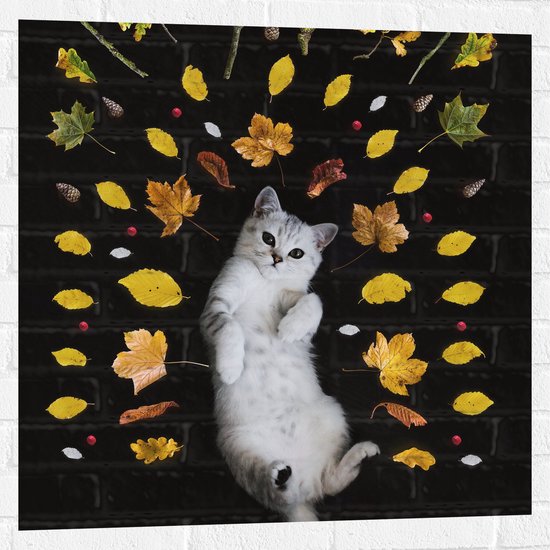 WallClassics - Muursticker - Liggende Kat omringt door Blaadjes - 80x80 cm Foto op Muursticker