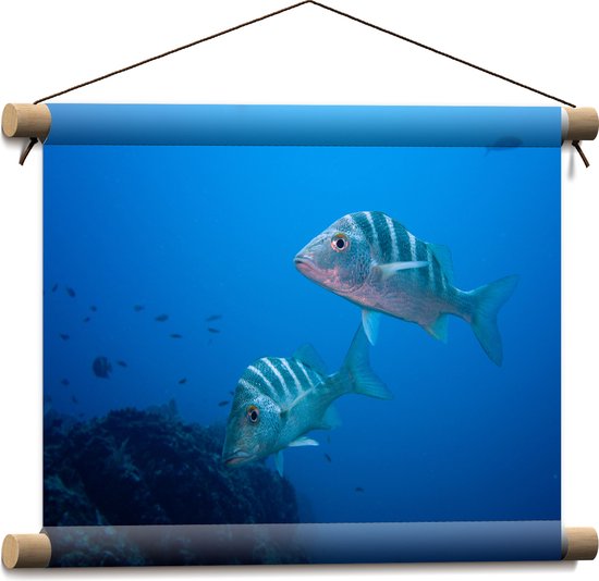 WallClassics - Textielposter - Vissen in Blauw Water - 40x30 cm Foto op Textiel