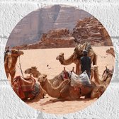 WallClassics - Muursticker Cirkel - Kamelen in de Woestijn - 20x20 cm Foto op Muursticker