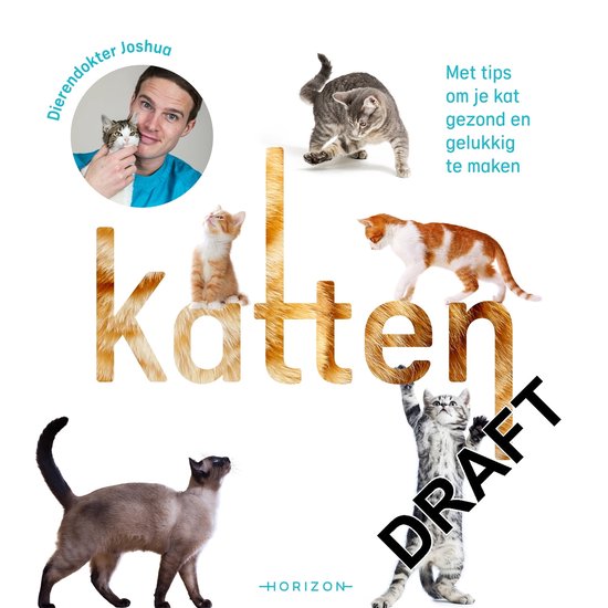 Katten - cover