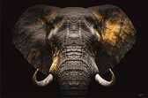 120 x 80 cm - peinture sur verre - Éléphant doré - impression photo sur verre