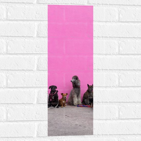 WallClassics - Muursticker - Hondenfamilie tegen Roze Achtergrond - 20x60 cm Foto op Muursticker