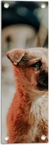 WallClassics - Tuinposter – Opzijkijkende Puppy - 20x60 cm Foto op Tuinposter (wanddecoratie voor buiten en binnen)