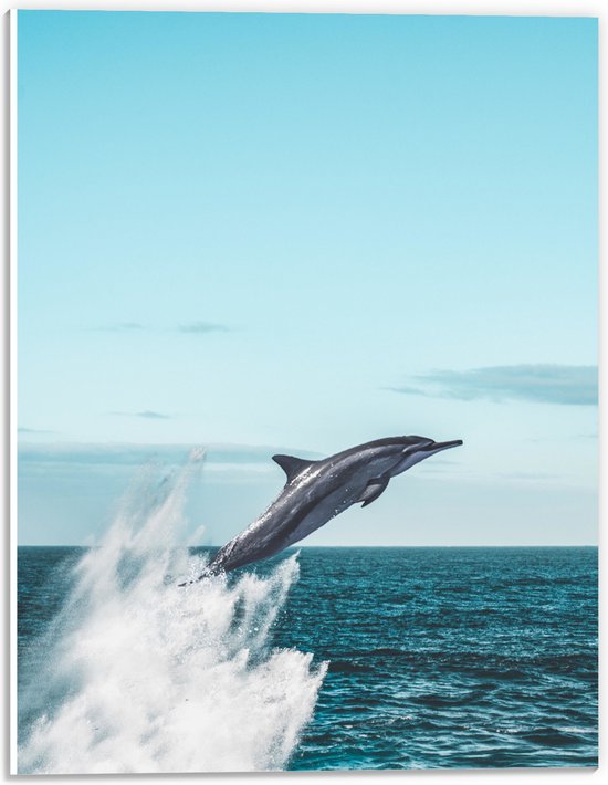 WallClassics - PVC Schuimplaat- Omhoogspringende Dolfijn in de Zee - 30x40 cm Foto op PVC Schuimplaat