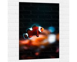 Foto: 