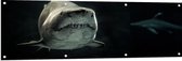 Tuinposter – Grote Haai in de Donkere Oceaan - 150x50 cm Foto op Tuinposter (wanddecoratie voor buiten en binnen)