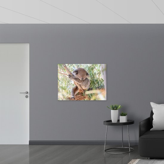WallClassics - Panneau en mousse PVC - Koala mignon sur une branche - Photo 100 x 75 cm sur panneau en mousse PVC