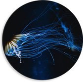 Dibond Muurcirkel - Lichtgevende Blauwe Kwal in de Zee - 40x40 cm Foto op Aluminium Muurcirkel (met ophangsysteem)