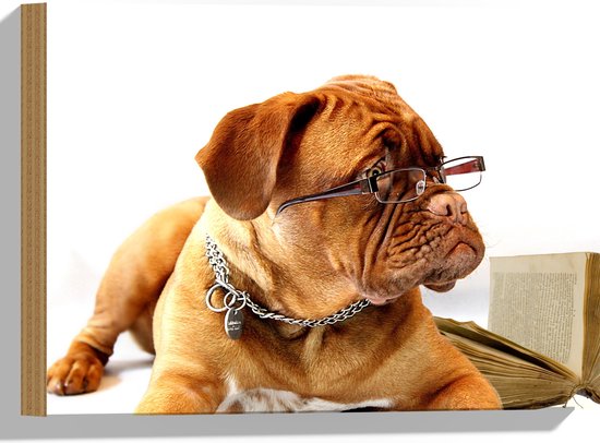 WallClassics - Hout - Opzijkijkende Bruine Hond met Ketting en Leesbril - 40x30 cm - 9 mm dik - Foto op Hout (Met Ophangsysteem)