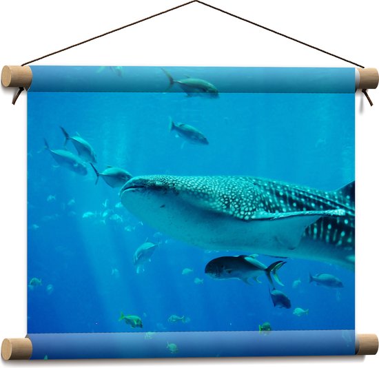 Textielposter - Walvis Zwemmend met Kleine Vissen in de Zee - 40x30 cm Foto op Textiel