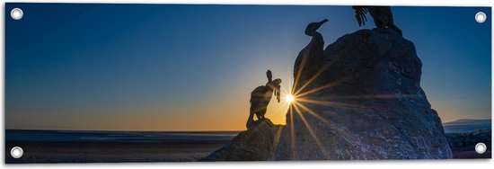 WallClassics - Tuinposter – Volgels op Rots bij Zonsondergang - 90x30 cm Foto op Tuinposter (wanddecoratie voor buiten en binnen)