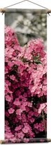 Textielposter - Roze Bloementjes - 30x90 cm Foto op Textiel