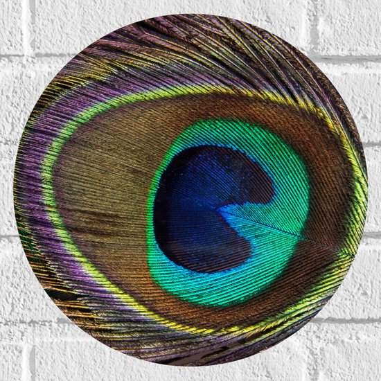 Muursticker Cirkel - Kleurrijke Pauwen Veer van Dichtbij - 30x30 cm Foto op Muursticker