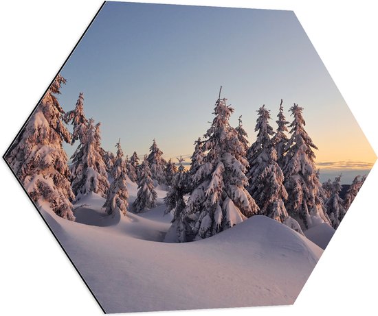 Dibond Hexagon - Dikke Laag Sneeuw in Open Bos met Bomen - 80x69.6 cm Foto op Hexagon (Met Ophangsysteem)