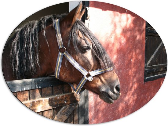 WallClassics - Dibond Ovaal - Paard bij Staldeur - 80x60 cm Foto op Ovaal (Met Ophangsysteem)