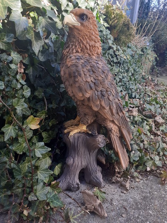 Adelaar beeld mooi beeld van een adelaar op een stam met bruine kop voor binnen of buiten van Farmwood 41x23x16 cm
